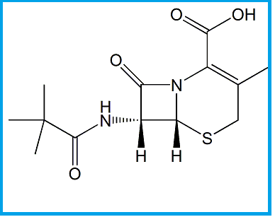 CEFADROXIL EP IMPURITY H 